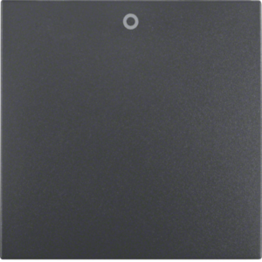 BERKER 16221606 / B.1/B.3 ANTHRAZIT AUFSATZWIPPE 2/3P