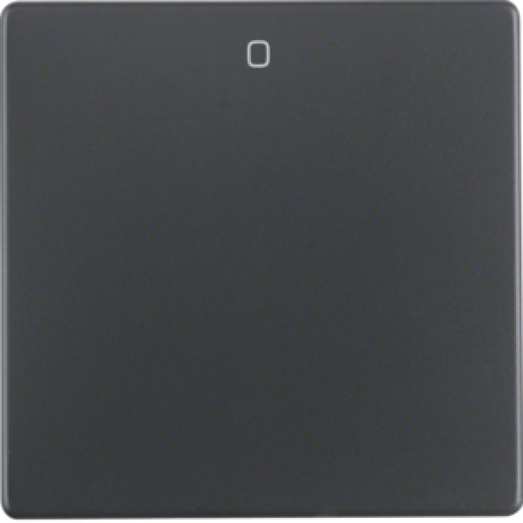 BERKER 16226086 / Q.1 ANTHRAZIT AUFSATZWIPPE 2/3