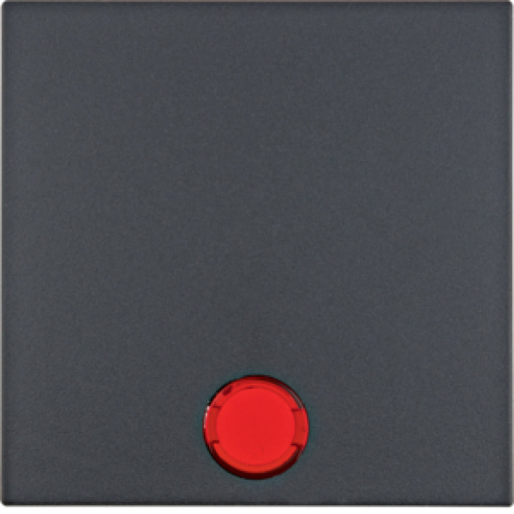 BERKER 16211606 / B.1/B.3 ANTHRAZIT AUFSATZWIPPE+LINSE