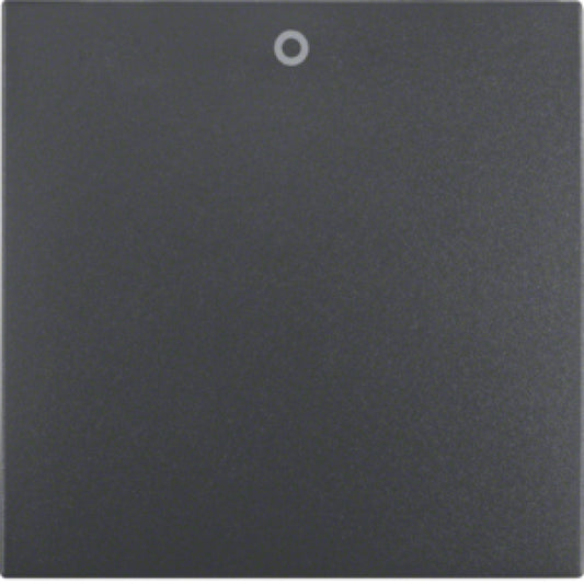 BERKER 16221606 / B.1/B.3 ANTHRAZIT AUFSATZWIPPE 2/3P