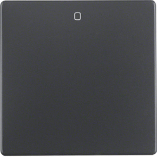 BERKER 16226086 / Q.1 ANTHRAZIT AUFSATZWIPPE 2/3